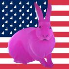 FLAG-ROSE LAVANDE FLAG rabbit flag Showroom - Inkjet on plexi, limited editions, numbered and signed. Wildlife painting Art and decoration. Click to select an image, organise your own set, order from the painter on line